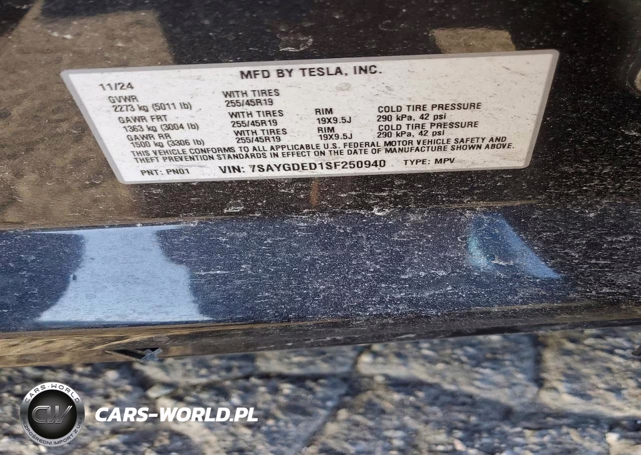 2025 Tesla Model Y VIN:7SAYGDED1SF250940 - 12