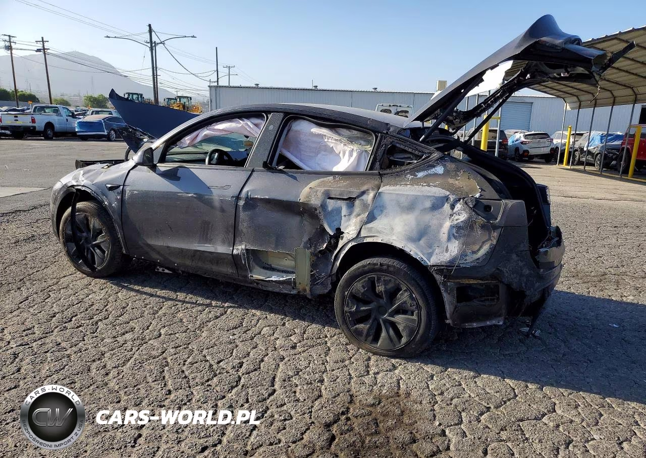 2025 Tesla Model Y VIN:7SAYGDED1SF250940 - 2
