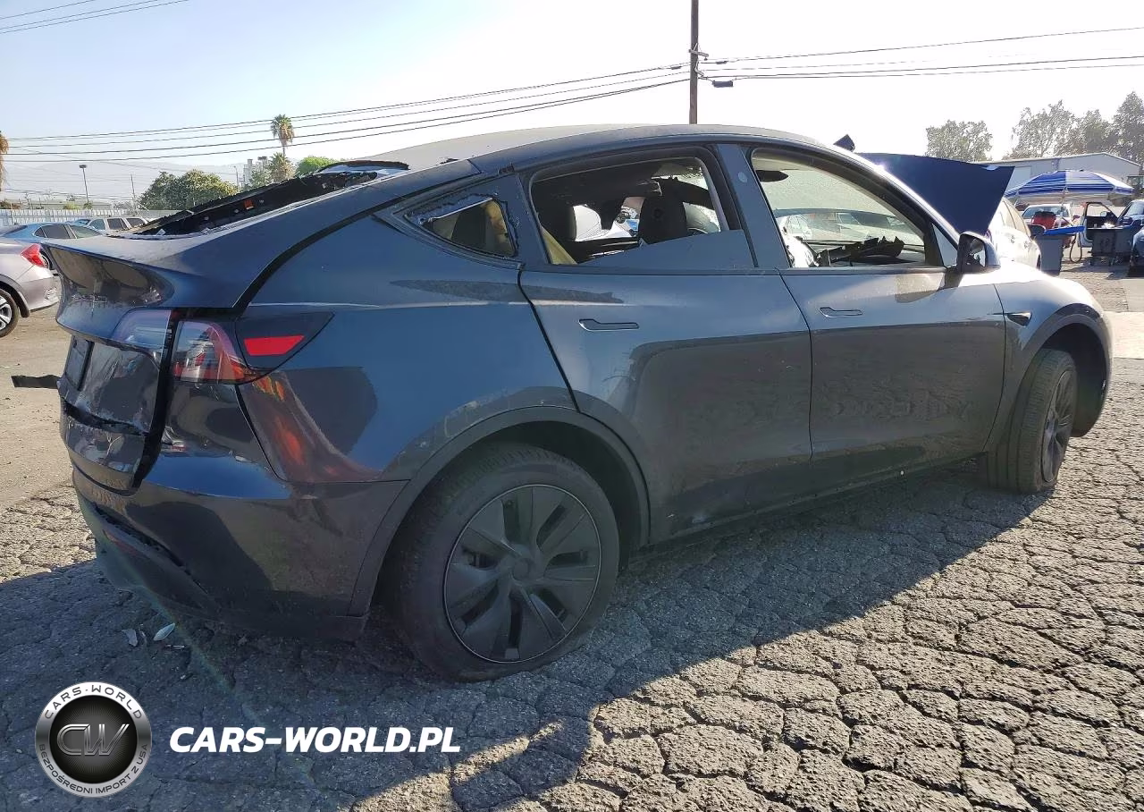 2025 Tesla Model Y VIN:7SAYGDED1SF250940 - 3