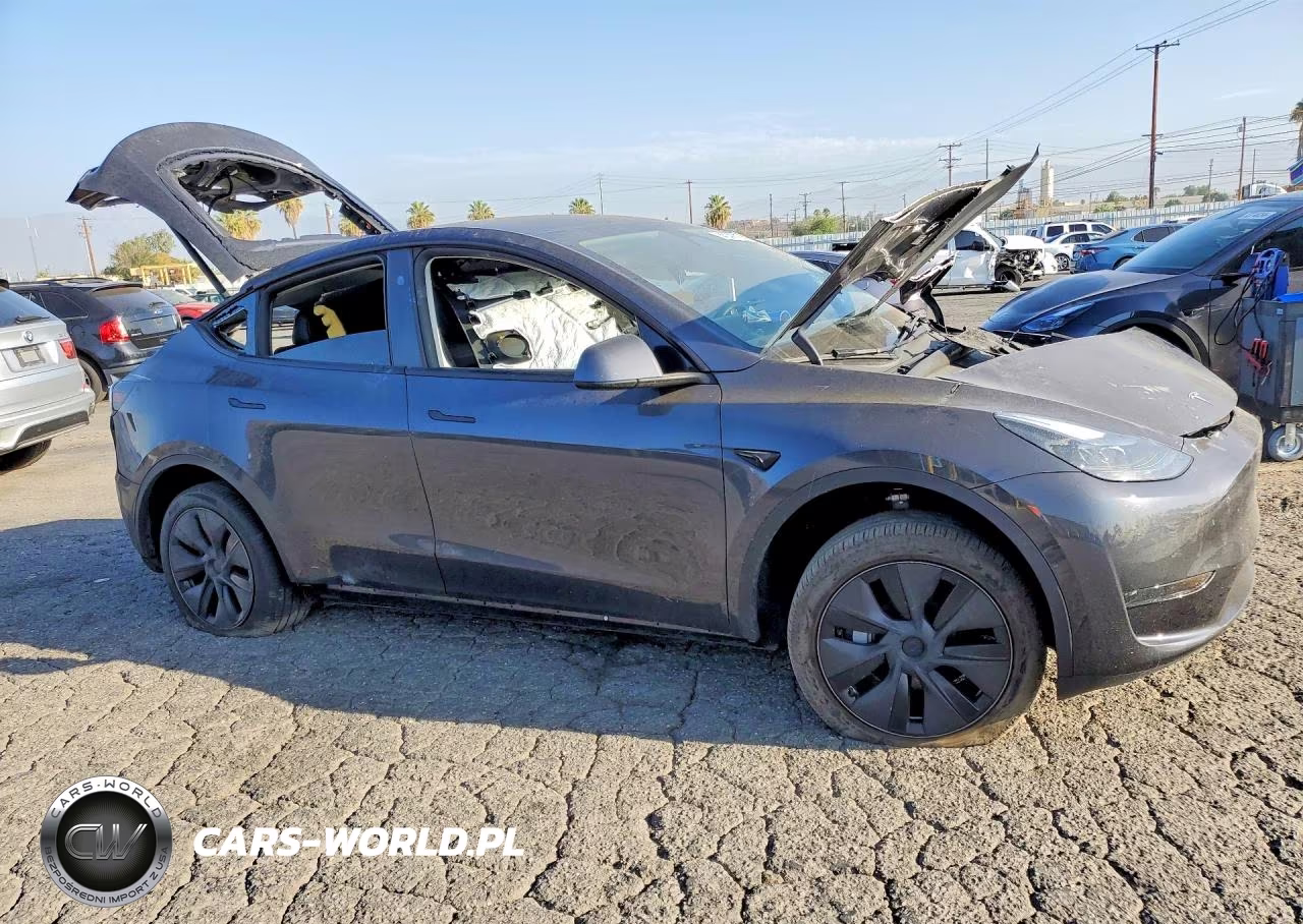 2025 Tesla Model Y VIN:7SAYGDED1SF250940 - 4