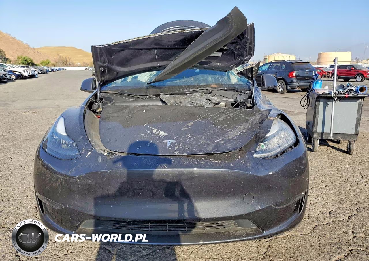 2025 Tesla Model Y VIN:7SAYGDED1SF250940 - 5