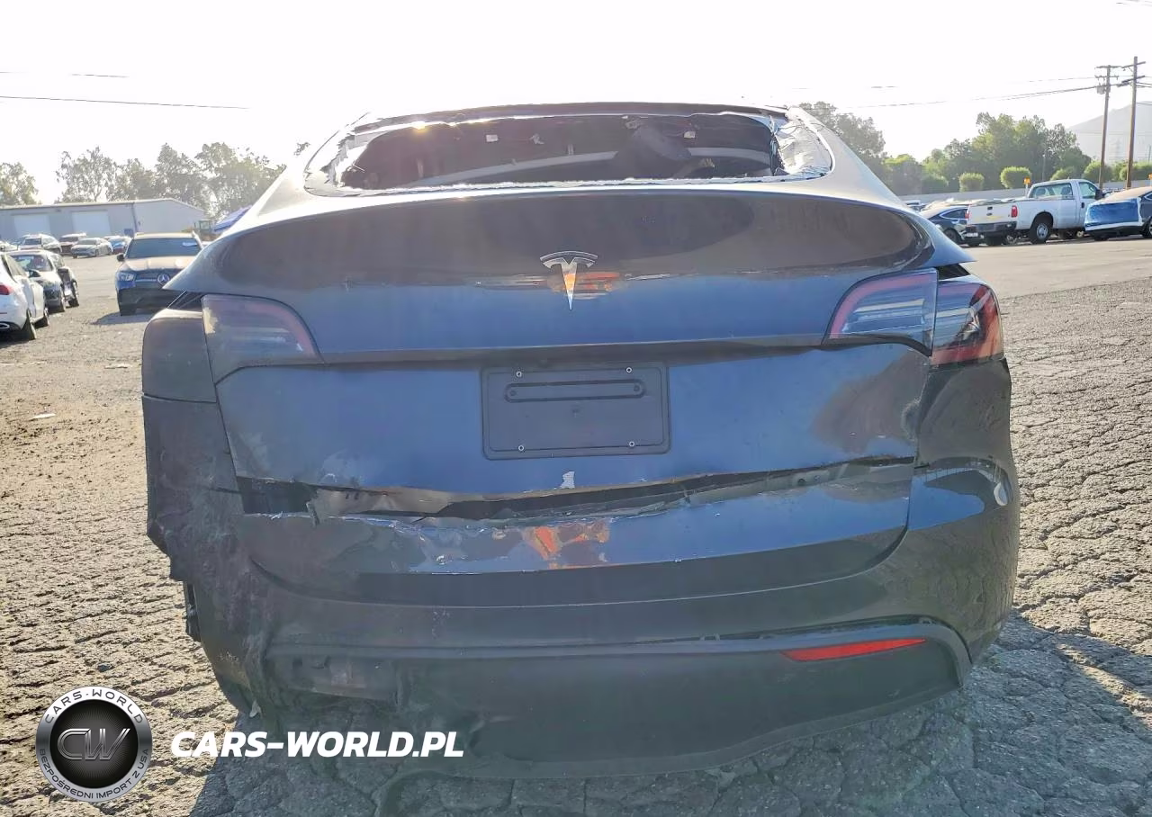2025 Tesla Model Y VIN:7SAYGDED1SF250940 - 6