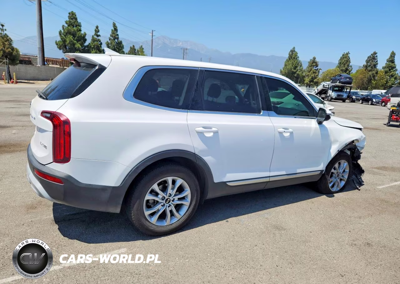 2021 Kia Telluride Lx VIN:5XYP24HC3MG119563 - 3