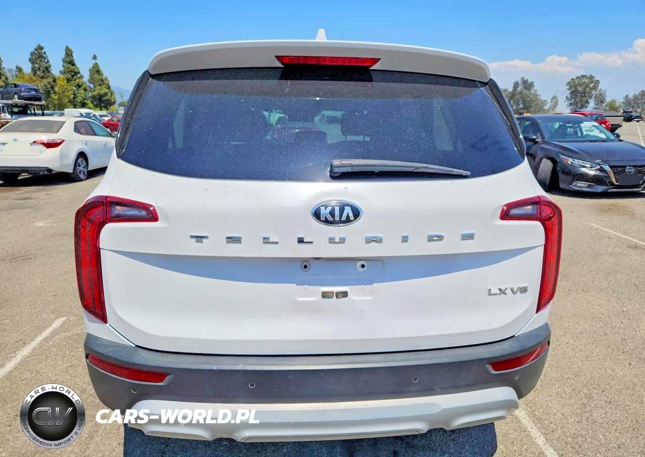 2021 Kia Telluride Lx VIN:5XYP24HC3MG119563 - 6