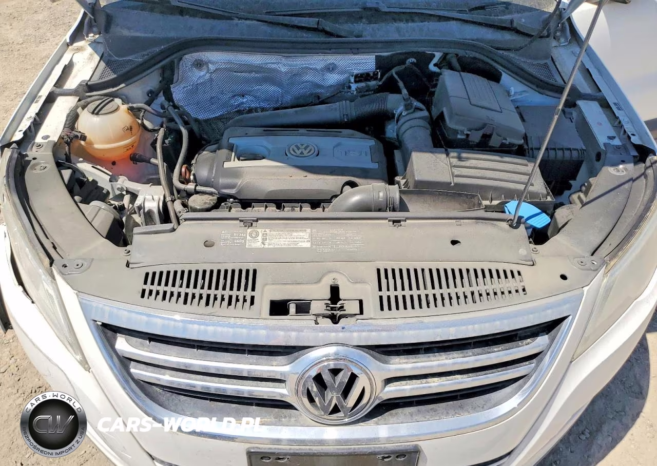 2011 Volkswagen Tiguan S VIN:WVGAV7AX0BW503520 - 11