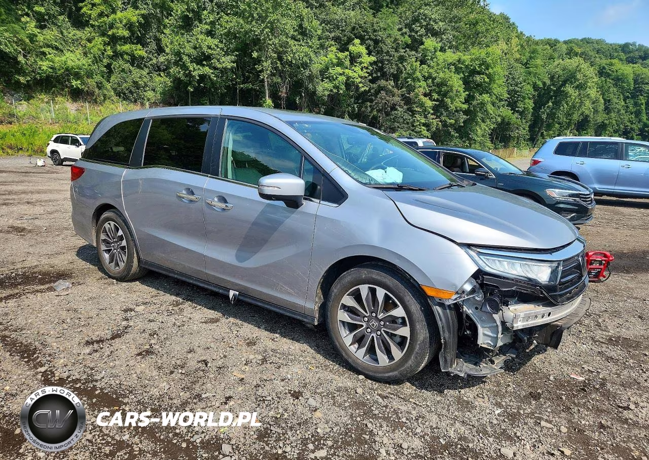 2024 Honda Odyssey Exl VIN:5FNRL6H62RB054778 - 4