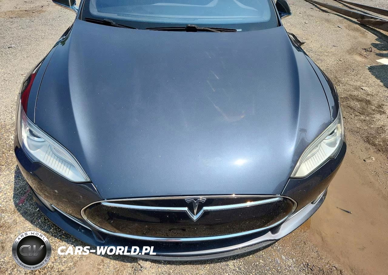 2015 Tesla Model S 85D VIN:5YJSA1H25FFP74031 - 11