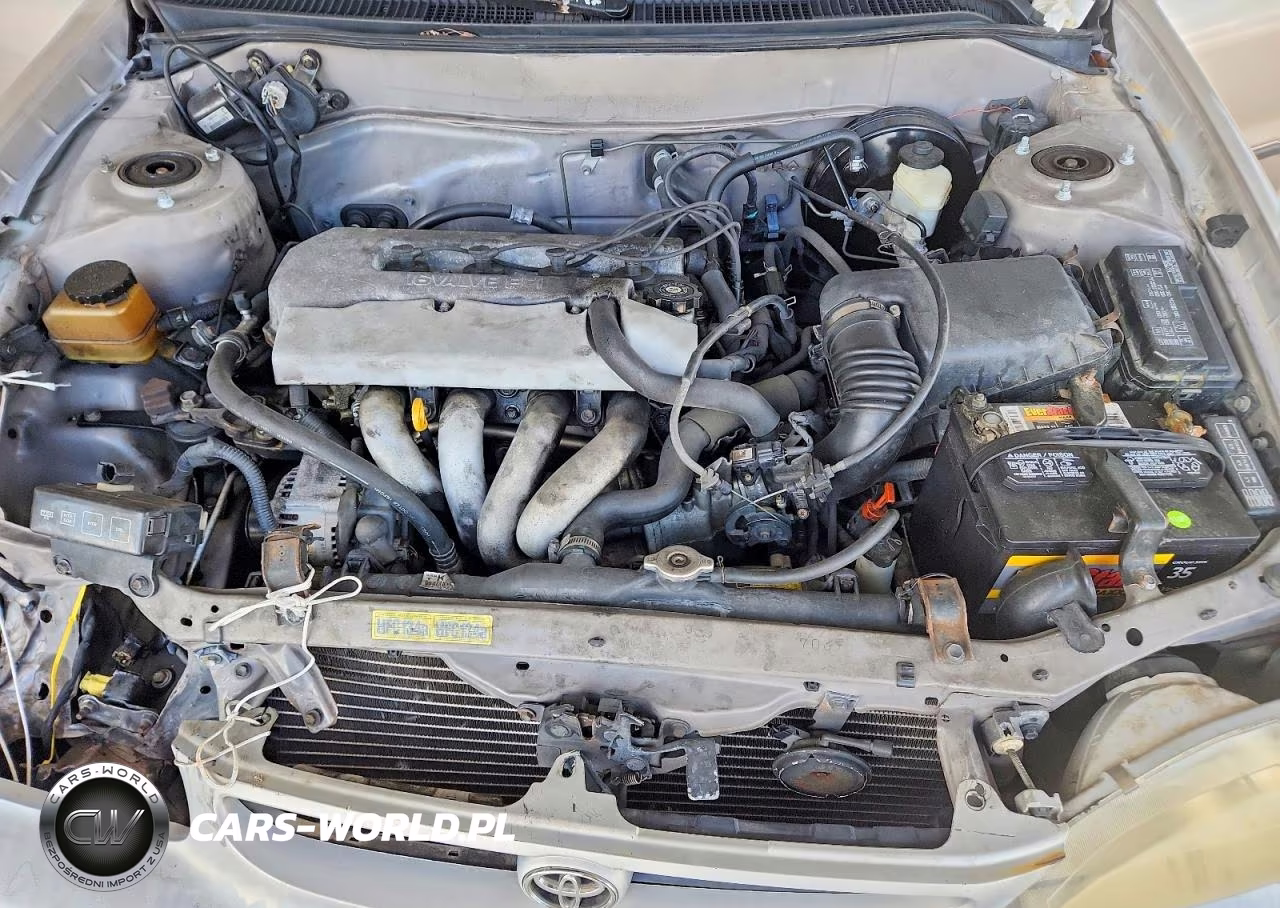 1998 Toyota Corolla Ve VIN:1NXBR12E4WZ124525 - 11