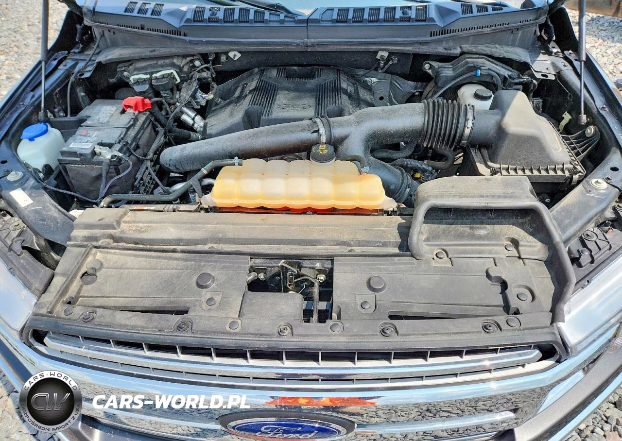 2019 Ford F150 Supercrew VIN:1FTFW1E49KFA55427 - 11
