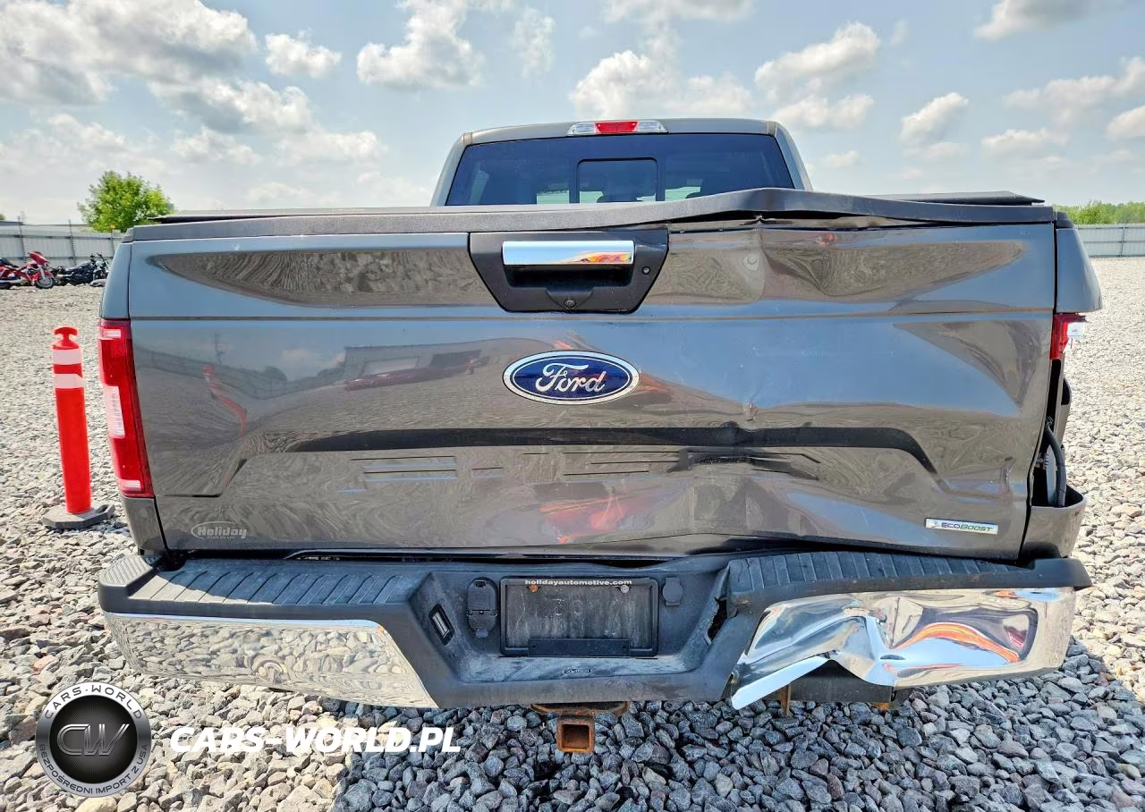 2019 Ford F150 Supercrew VIN:1FTFW1E49KFA55427 - 6
