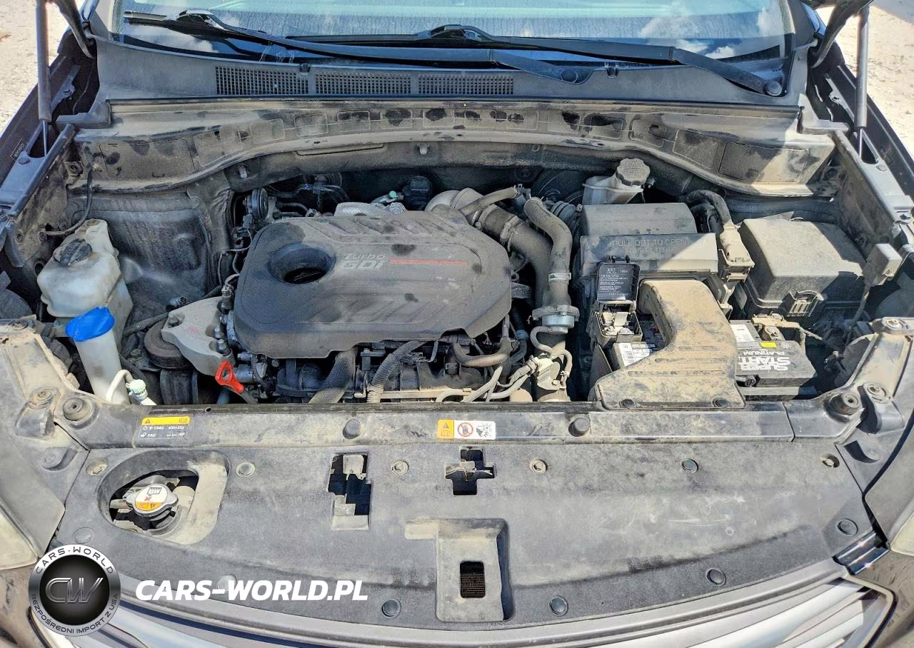 2017 Hyundai Santa Fe Sport 2.0T Ultimate VIN:5NMZW4LAXHH045511 - 12