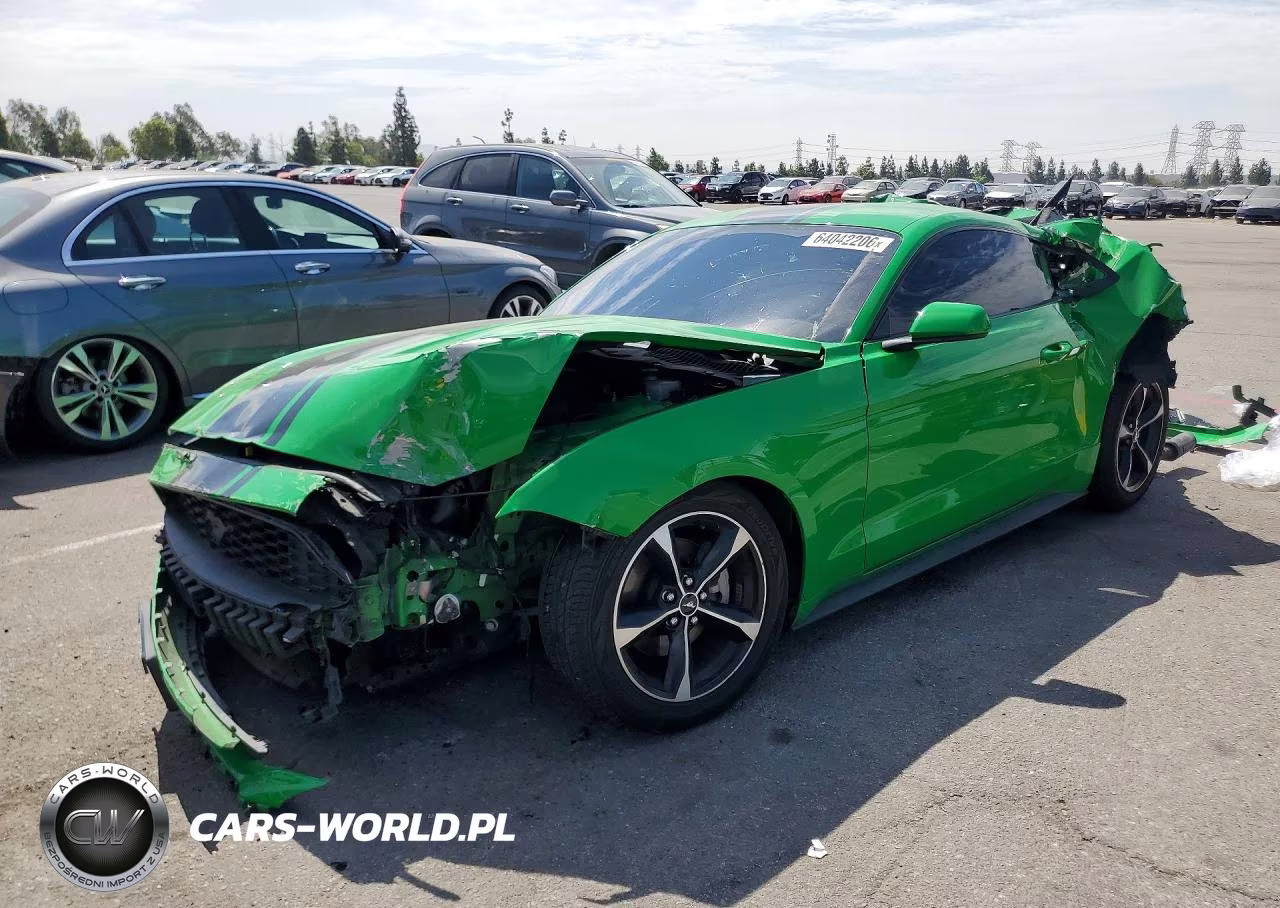 2019 Ford Mustang – zdjęcie 1 z 13