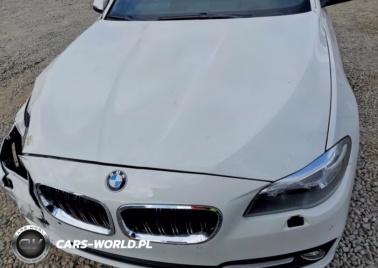 2014 BMW 535 D VIN:WBAXA5C52ED690721 - 11