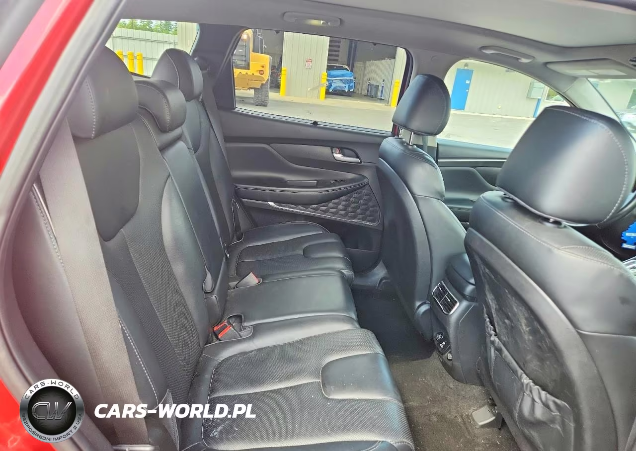 2023 Hyundai Santa Fe Limited VIN:5NMS4DAL9PH526425 - 10