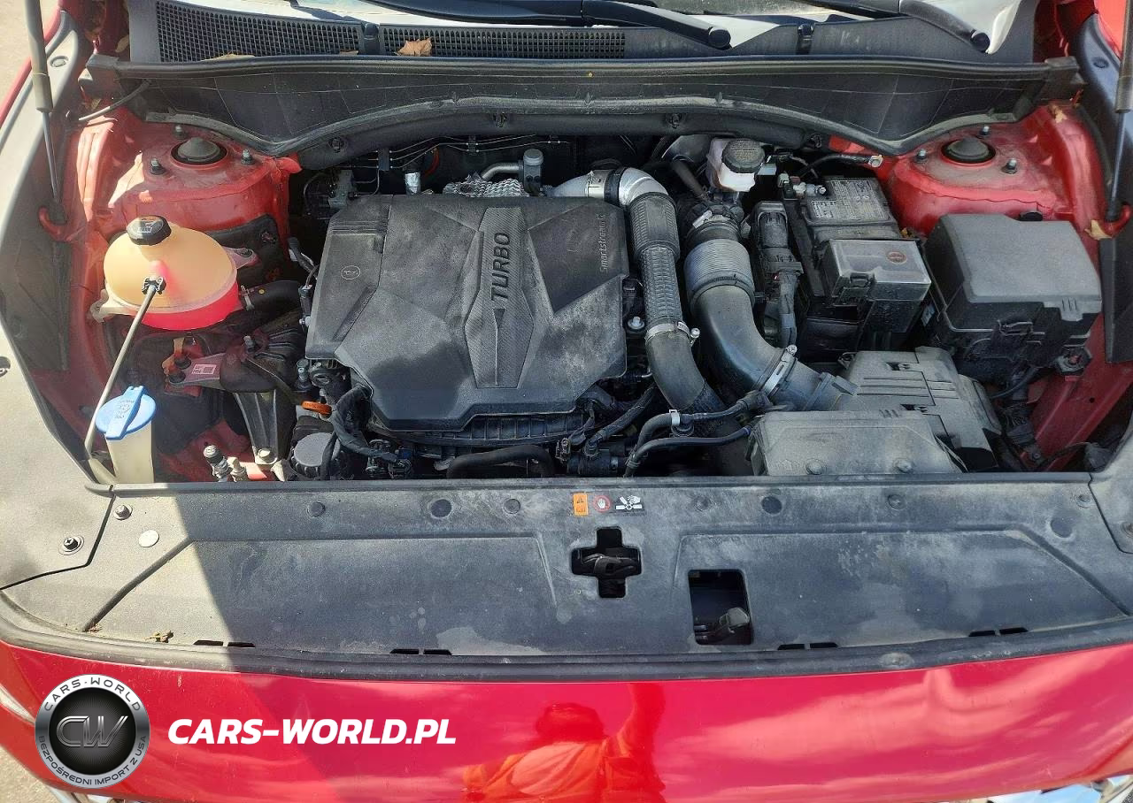 2023 Hyundai Santa Fe Limited VIN:5NMS4DAL9PH526425 - 11