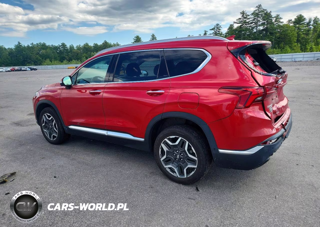 2023 Hyundai Santa Fe Limited VIN:5NMS4DAL9PH526425 - 2