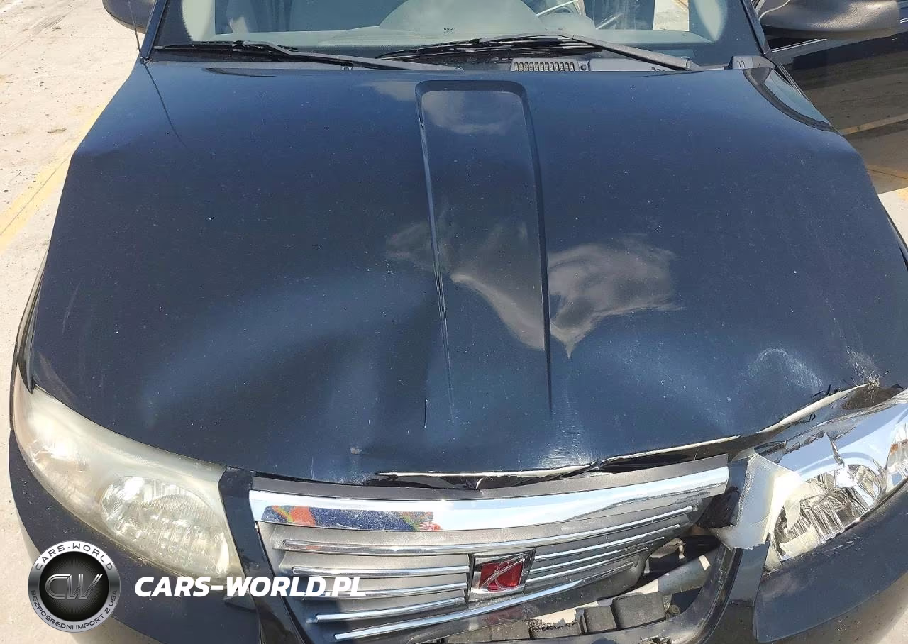 2005 Saturn Ion Level 1 VIN:1G8AG52F95Z106233 - 11
