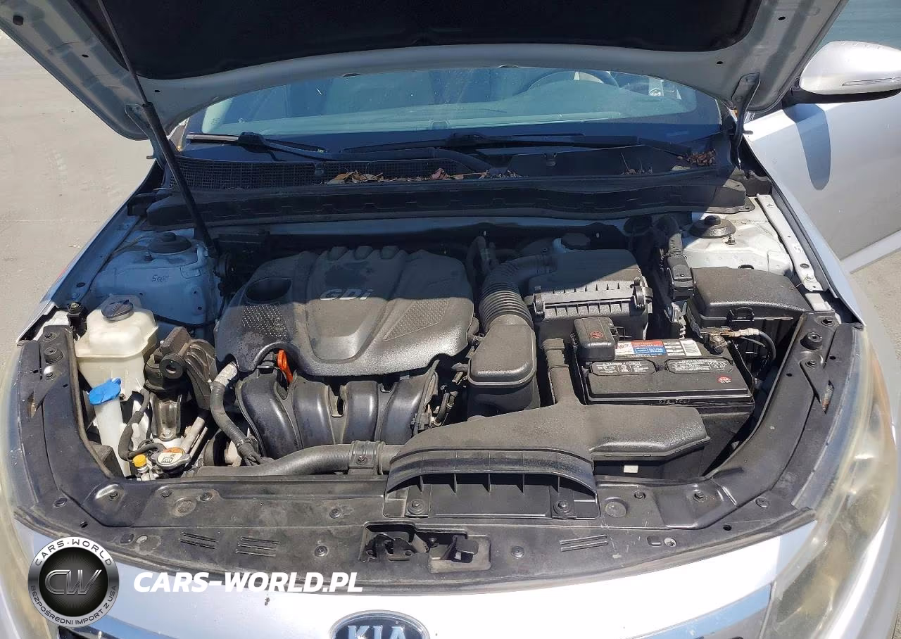 2011 Kia Optima Ex VIN:KNAGN4A76B5171731 - 11
