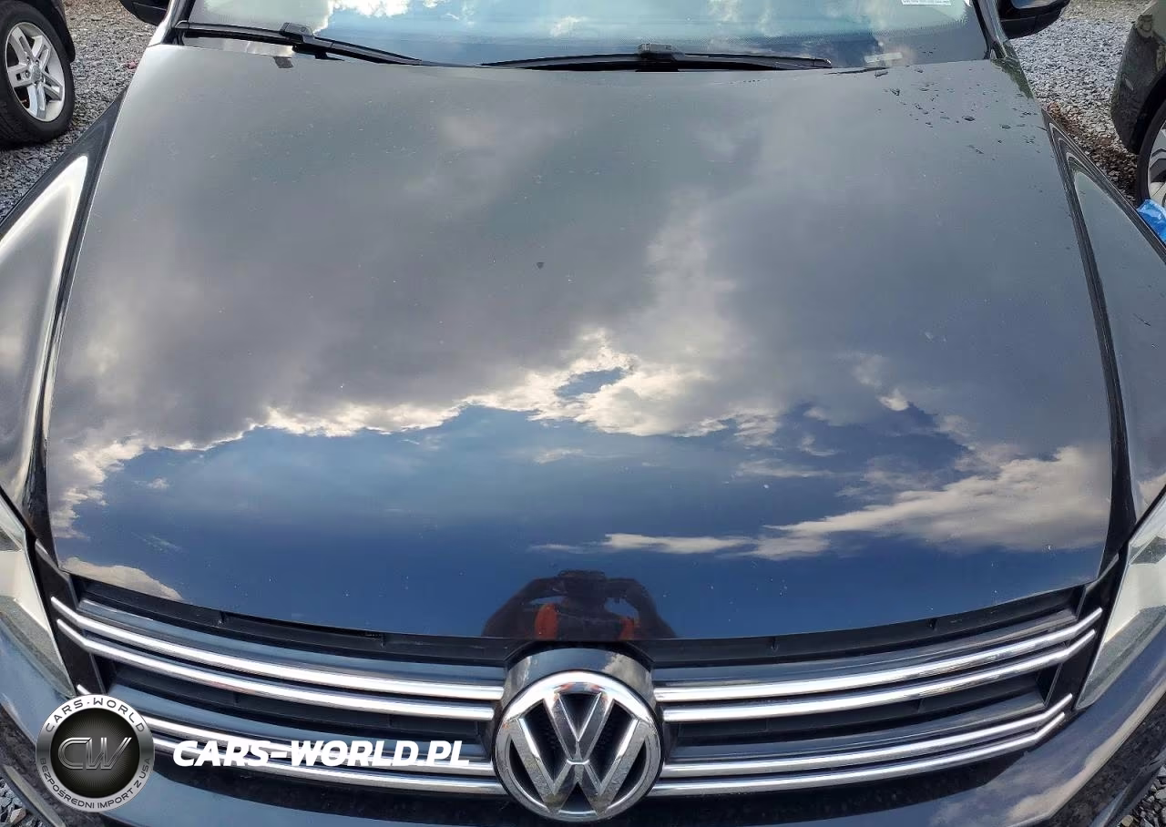 2016 Volkswagen Tiguan S VIN:WVGBV7AX6GW588262 - 12