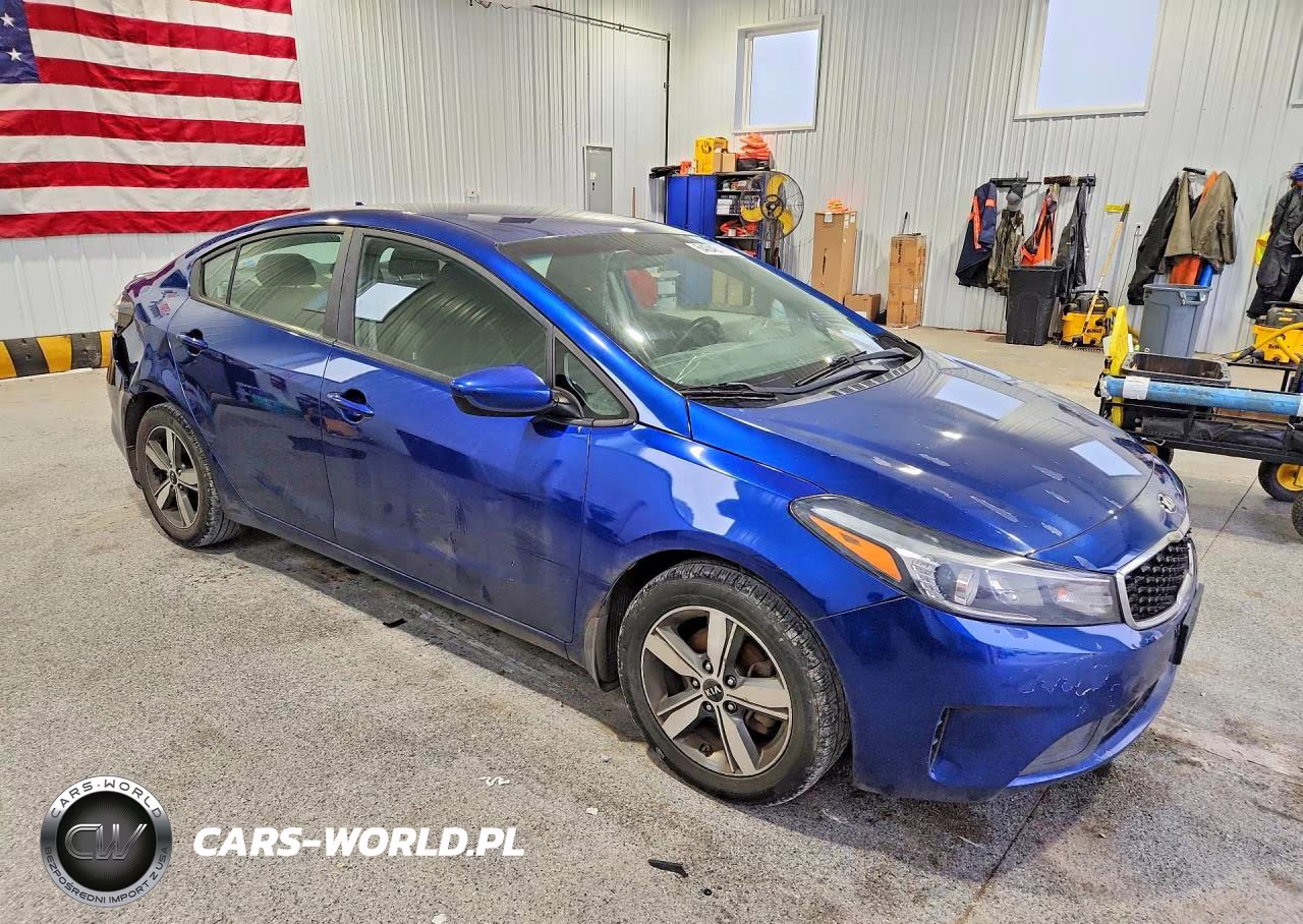 2018 Kia Forte S VIN:3KPFL4A72JE261448 - 4