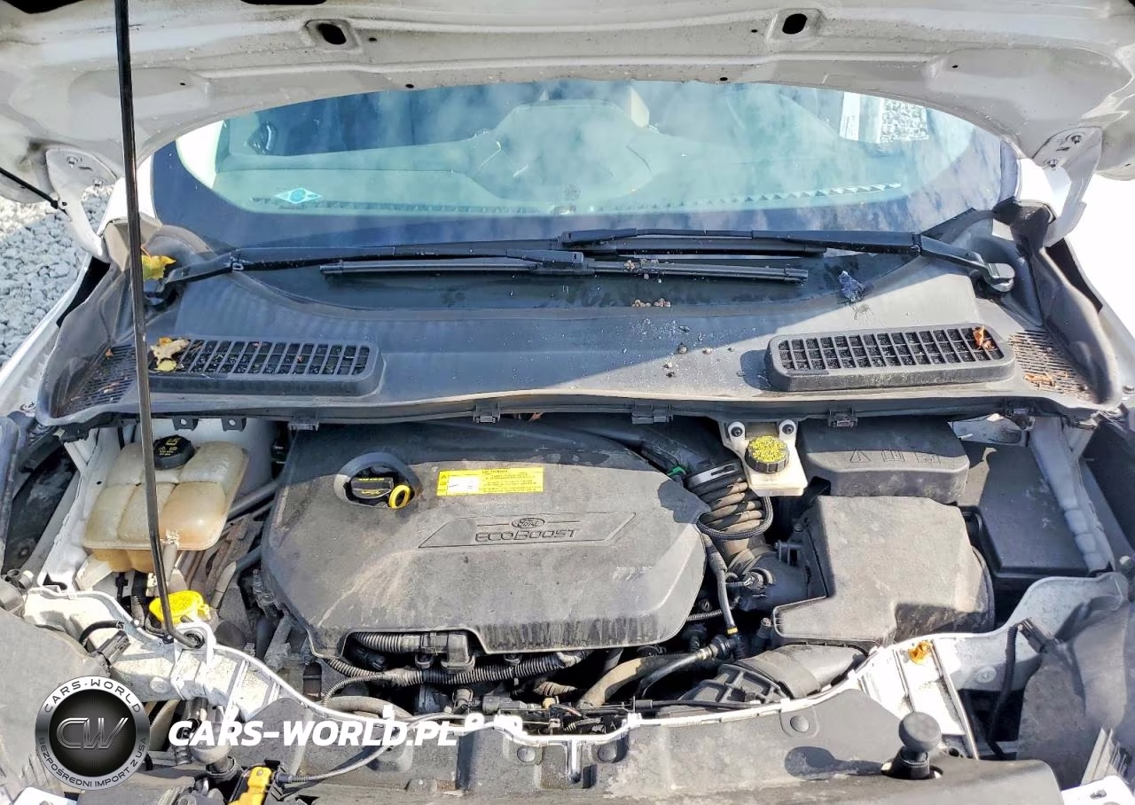 2016 Ford Escape Se VIN:1FMCU0GX5GUC87371 - 12