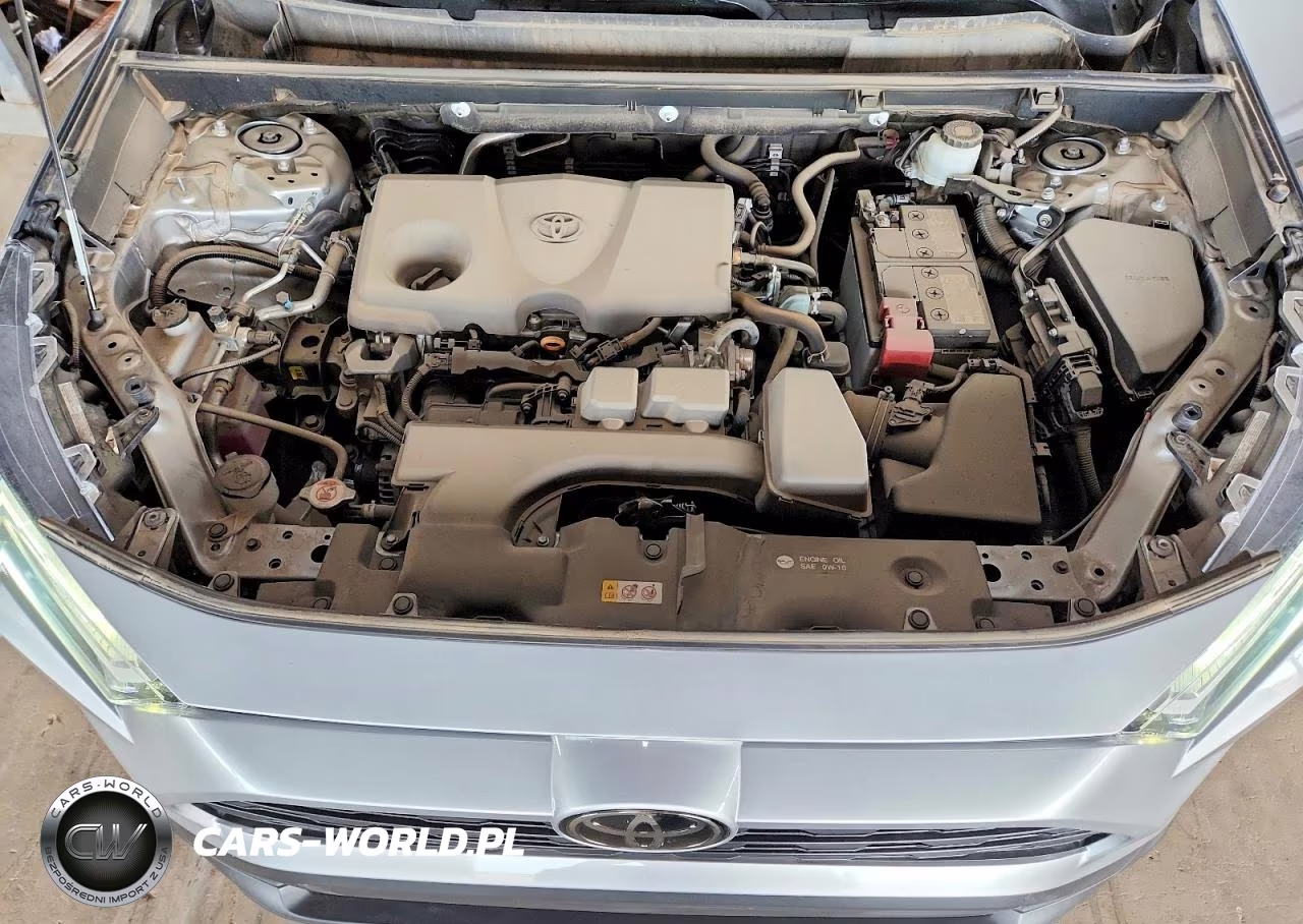 2025 Toyota Rav4 Xle VIN:2T3W1RFV5SC310482 - 12