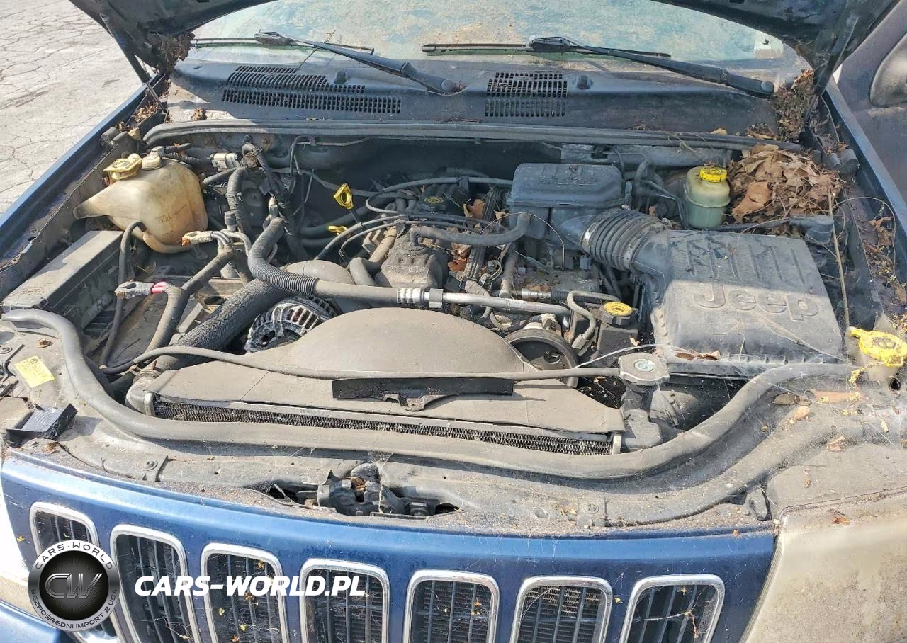 2002 Jeep Grand Cherokee Limited VIN:1J4GW58S82C326592 - 12