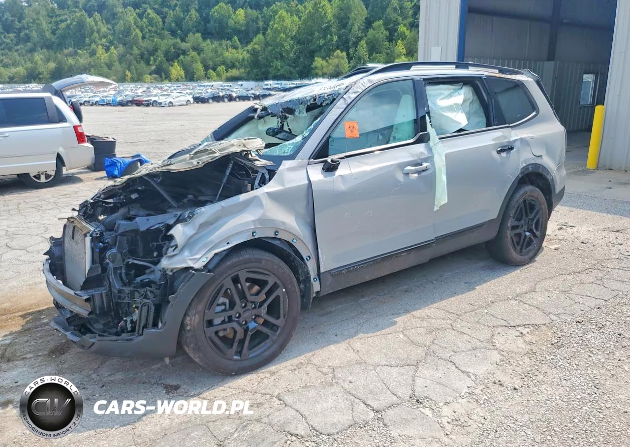 2025 Kia Telluride Ex X-Line VIN:5XYP3DGC5SG603228 - 1