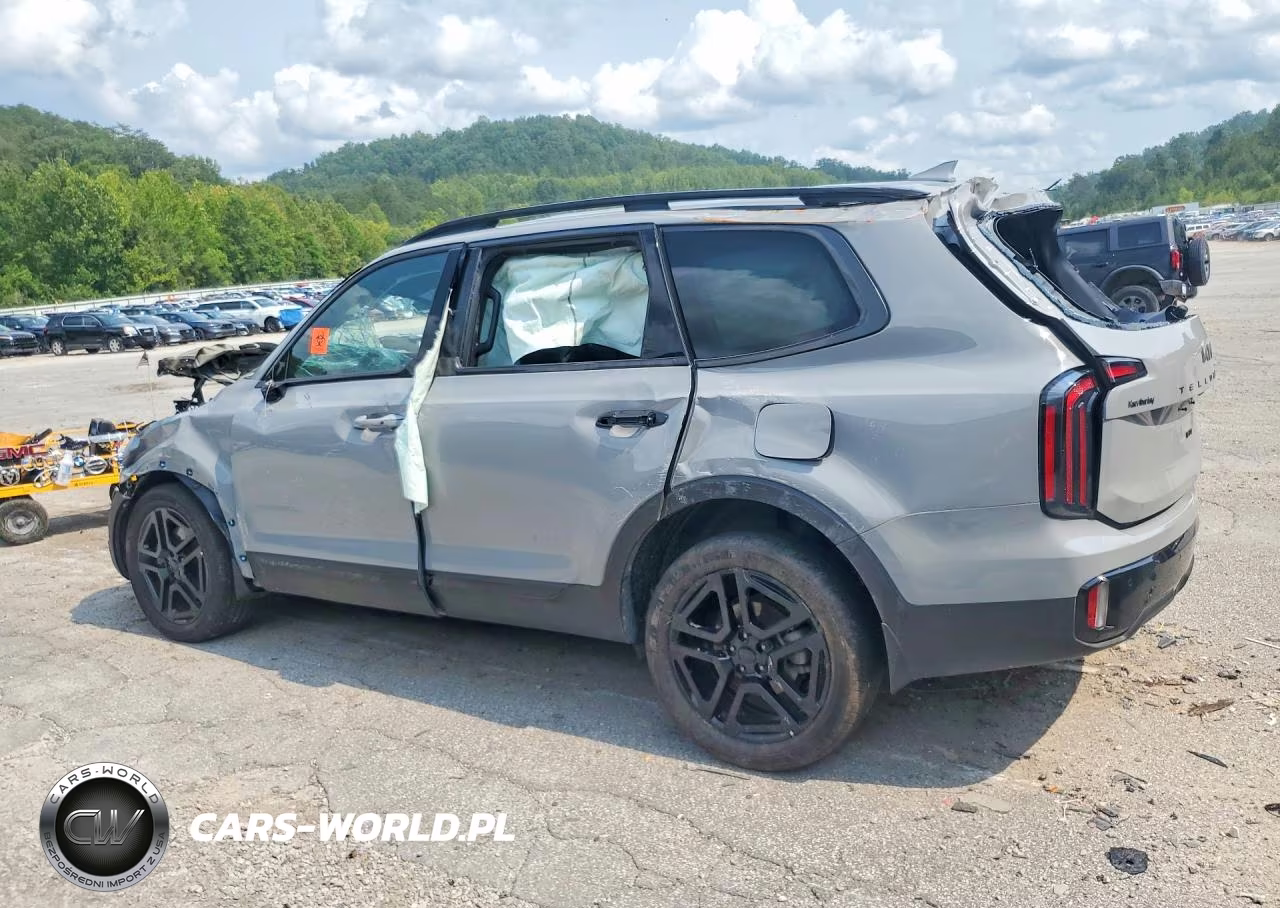 2025 Kia Telluride Ex X-Line VIN:5XYP3DGC5SG603228 - 2