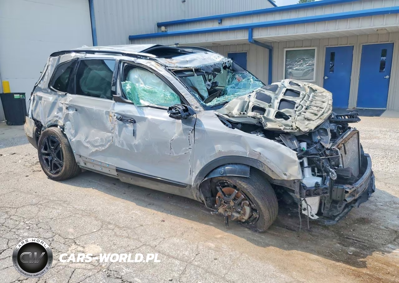 2025 Kia Telluride Ex X-Line VIN:5XYP3DGC5SG603228 - 4