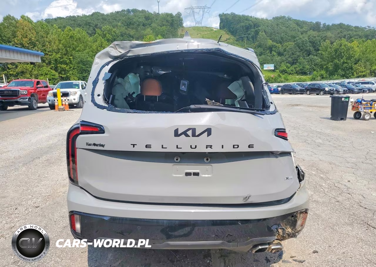 2025 Kia Telluride Ex X-Line VIN:5XYP3DGC5SG603228 - 6