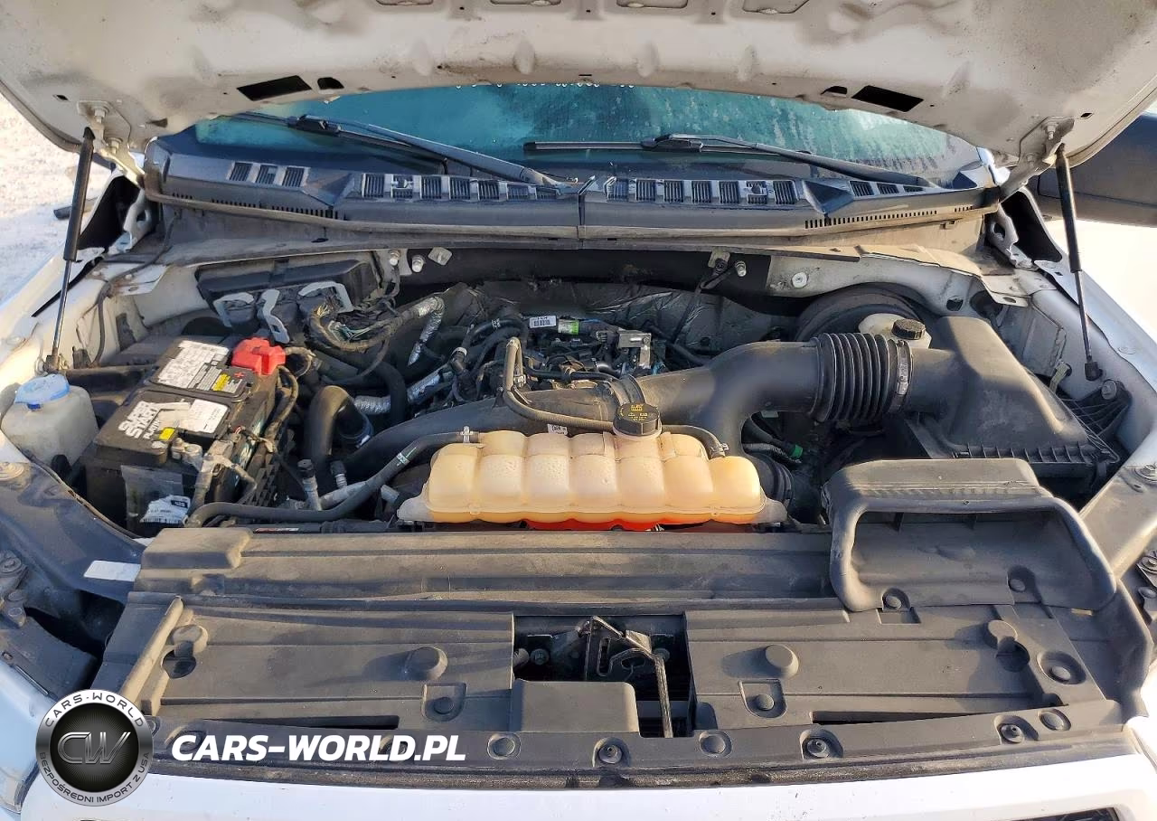 2019 Ford F150 Supercrew VIN:1FTEW1CP2KKC12053 - 11