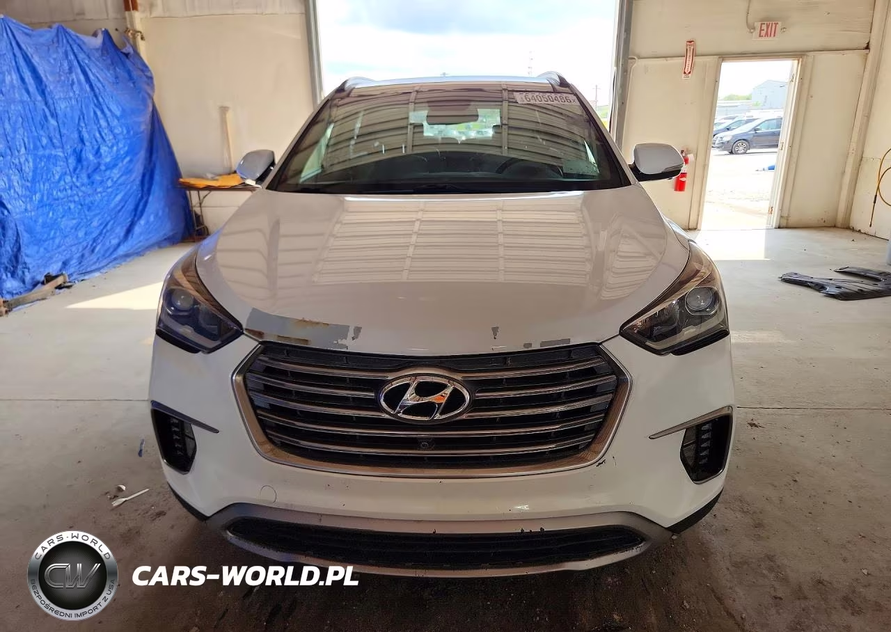 2017 Hyundai Santa Fe Limited Ultimate VIN:KM8SRDHF0HU170602 - 5