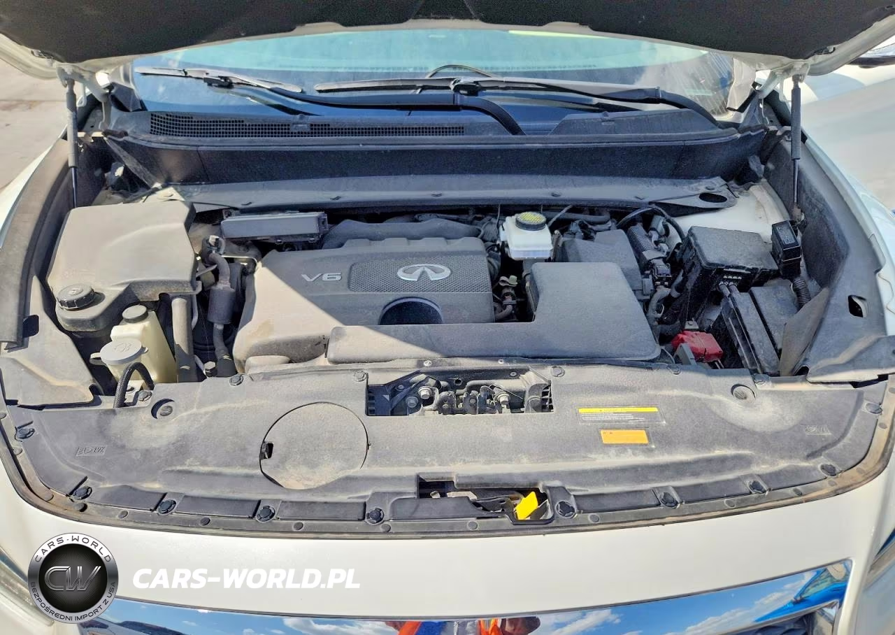 2019 Infiniti Qx60 Luxe VIN:5N1DL0MN4KC520035 - 12