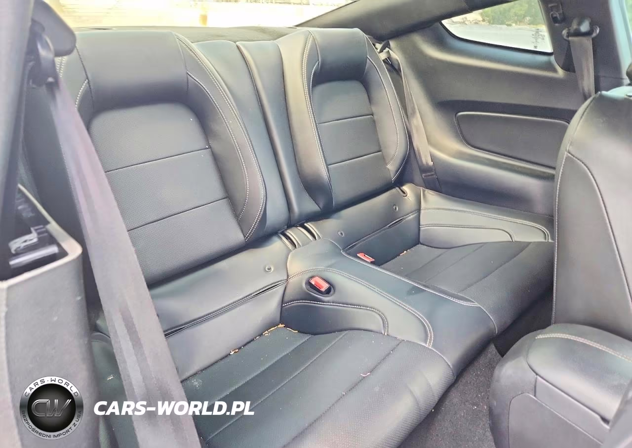 2019 Ford Mustang Gt VIN:1FA6P8CF9K5130178 - 10