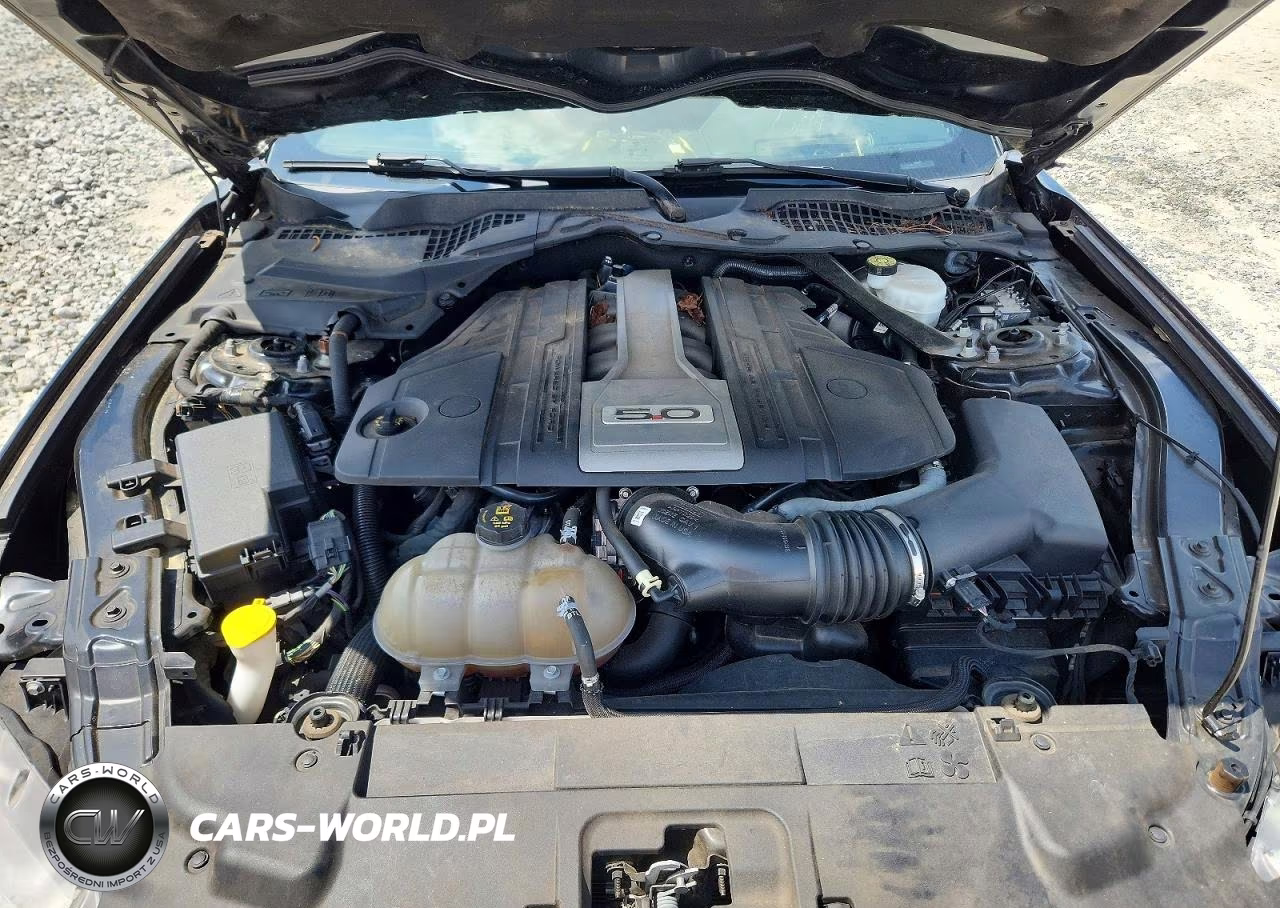 2019 Ford Mustang Gt VIN:1FA6P8CF9K5130178 - 11