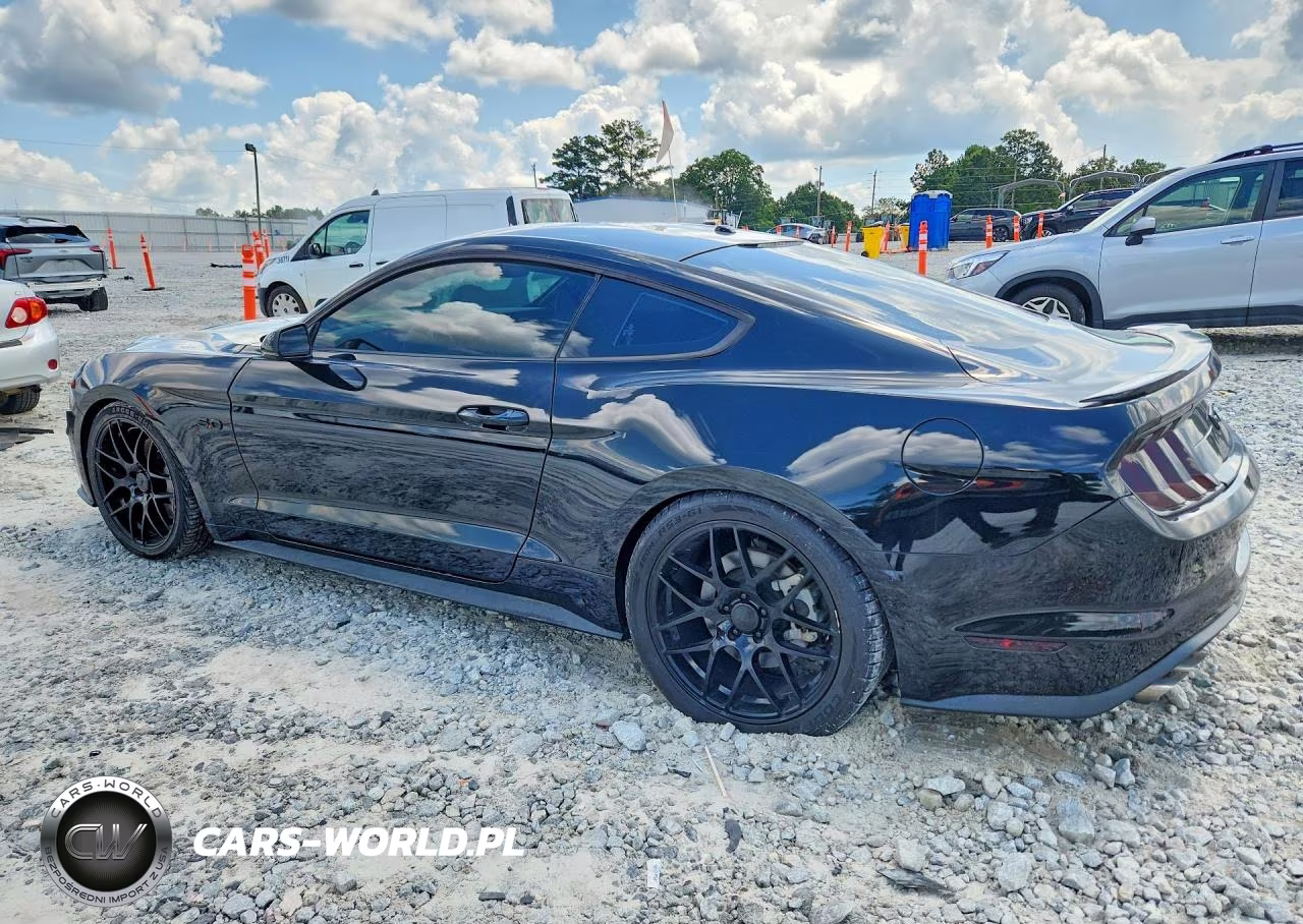 2019 Ford Mustang Gt VIN:1FA6P8CF9K5130178 - 2