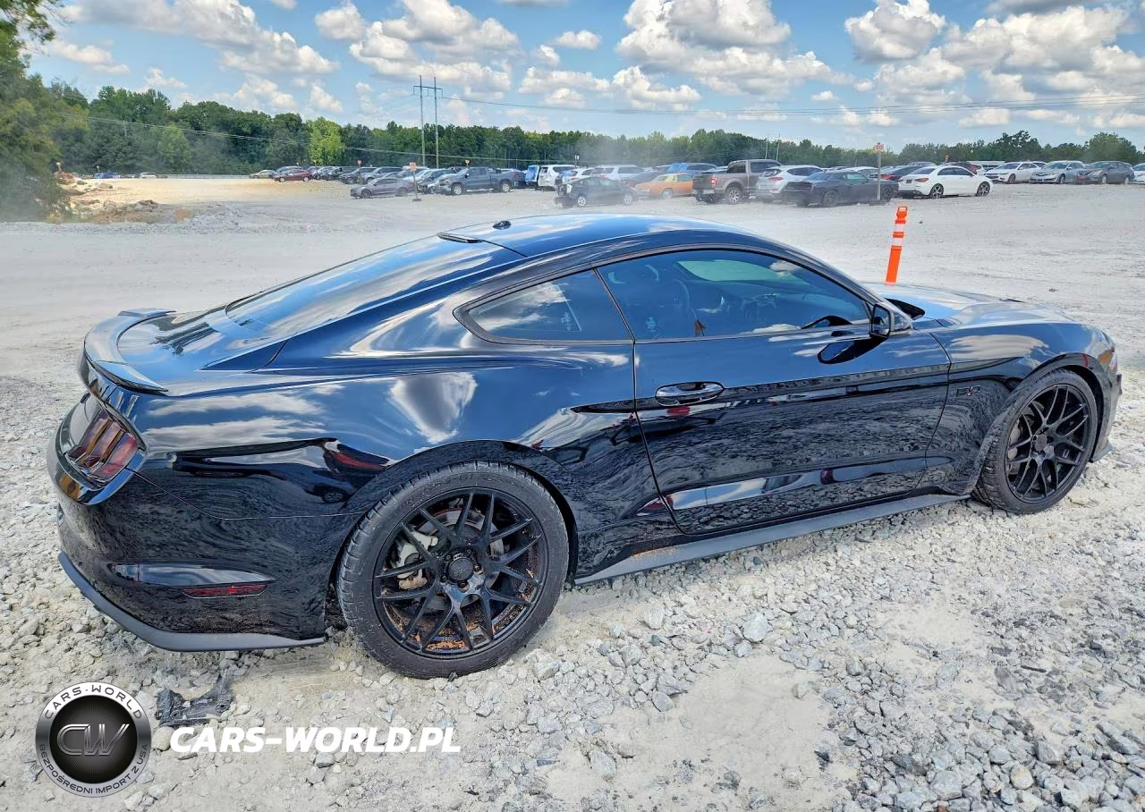 2019 Ford Mustang Gt VIN:1FA6P8CF9K5130178 - 3
