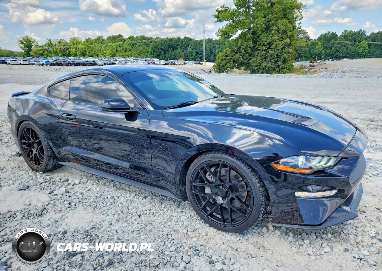 2019 Ford Mustang Gt VIN:1FA6P8CF9K5130178 - 4