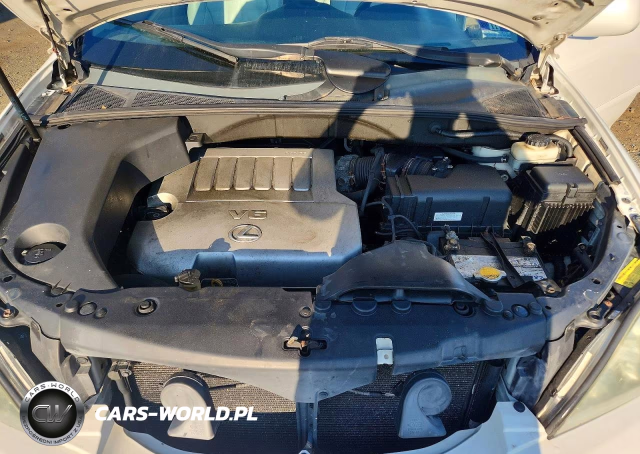 2009 Lexus Rx 350 VIN:2T2HK31U49C132452 - 12