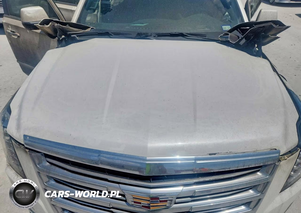 2018 Cadillac Escalade Esv Platinum VIN:1GYS4KKJXJR221112 - 12