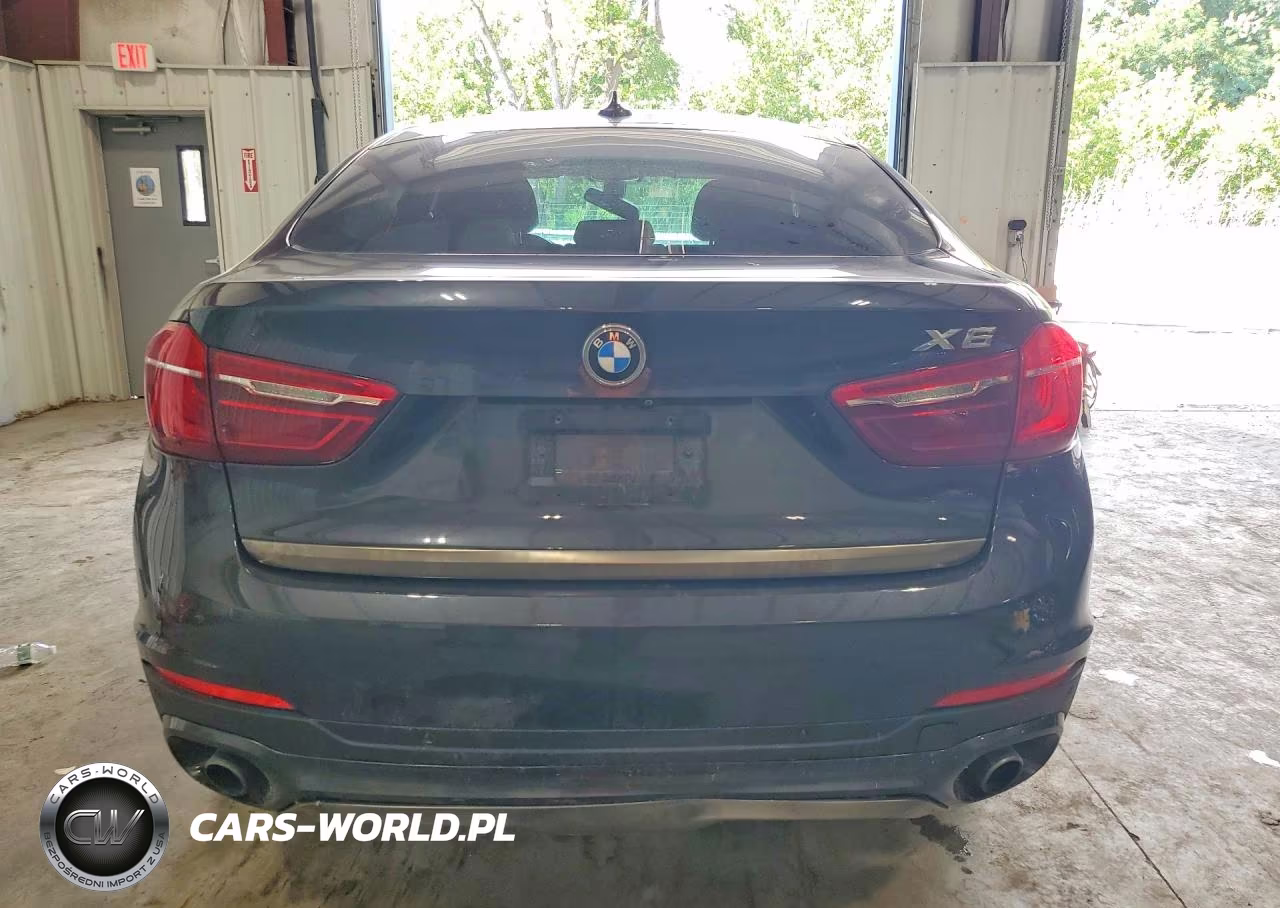 2017 BMW X6 xDrive35I VIN:5UXKU2C39H0U28805 - 6