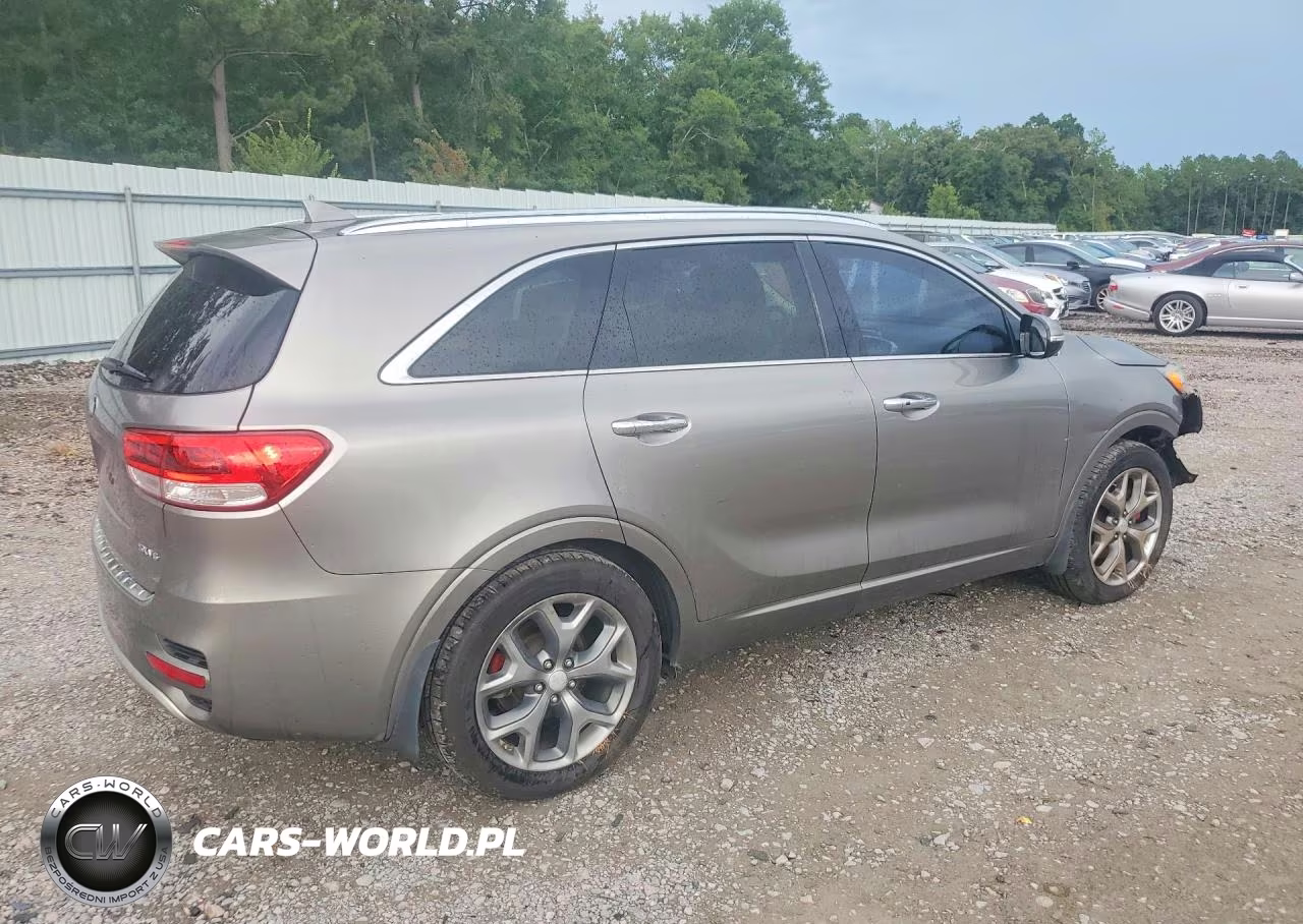 2016 Kia Sorento Sx V6 VIN:5XYPK4A54GG048647 - 3