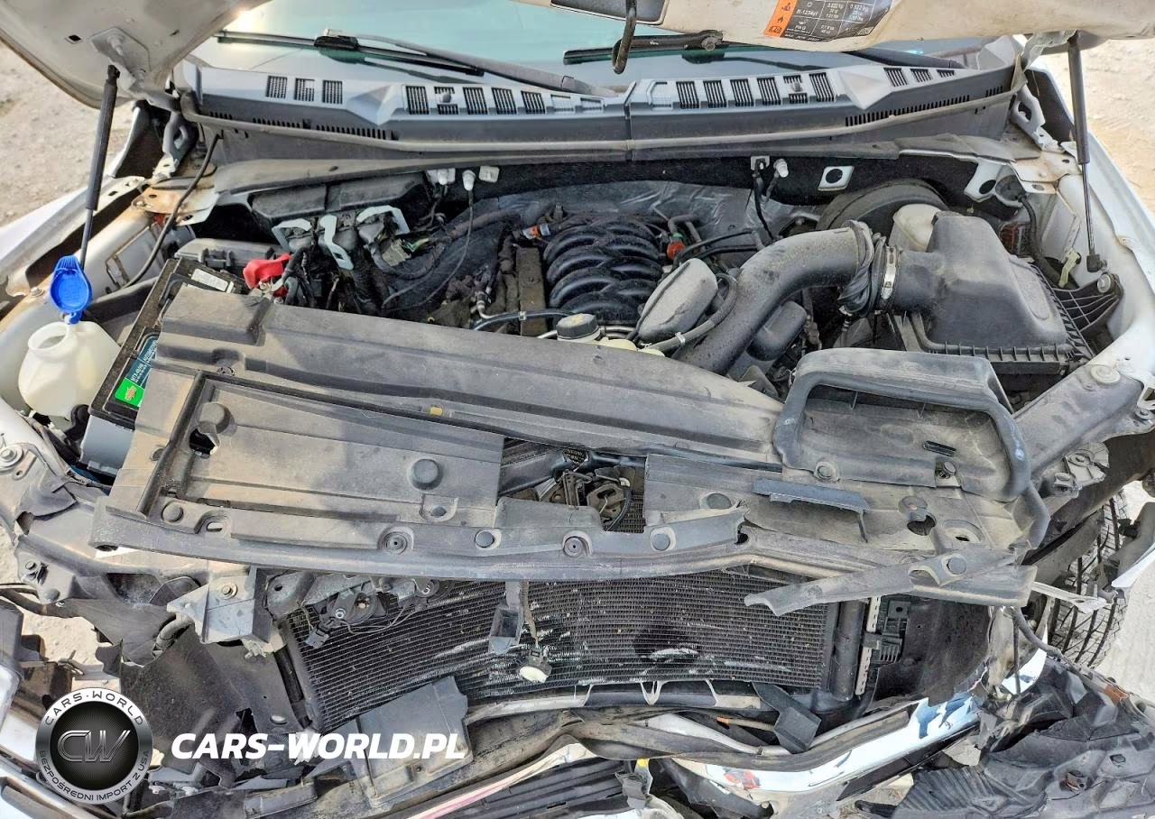 2019 Ford F-150 VIN:1FTMF1C54KKD60134 - 11