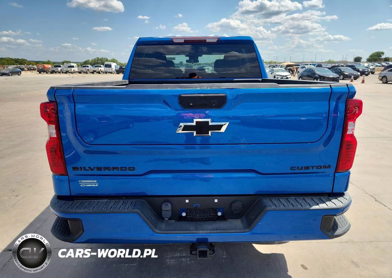 2022 Chevrolet Silverado K1500 Custom VIN:3GCPDBEK7NG566619 - 6