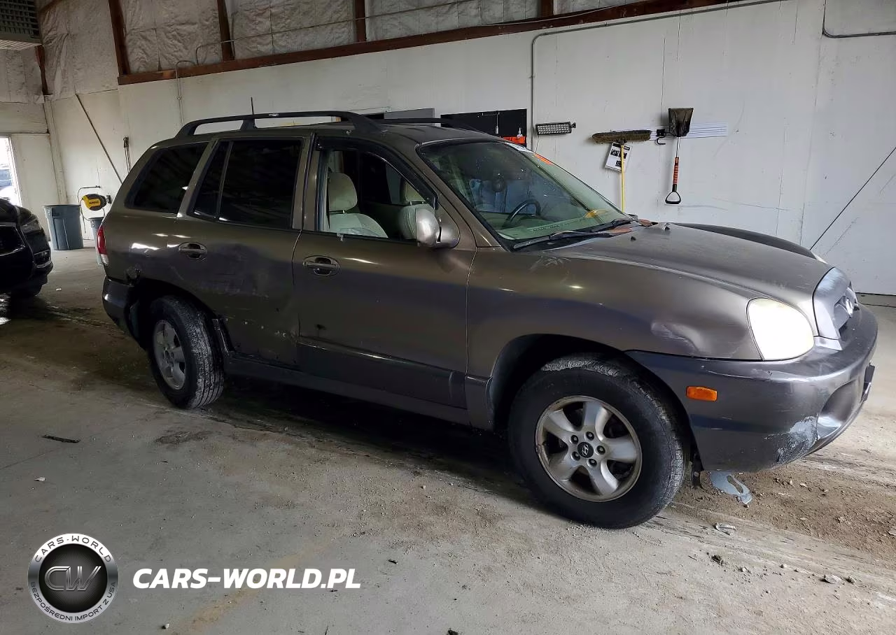 2005 Hyundai Santa Fe Gls VIN:KM8SC73D55U940278 - 4