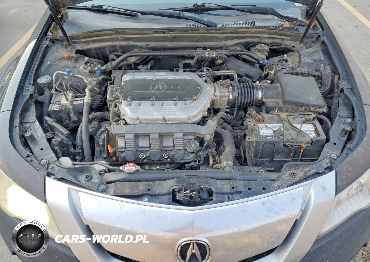 2009 Acura Tl VIN:19UUA86259A022042 - 11