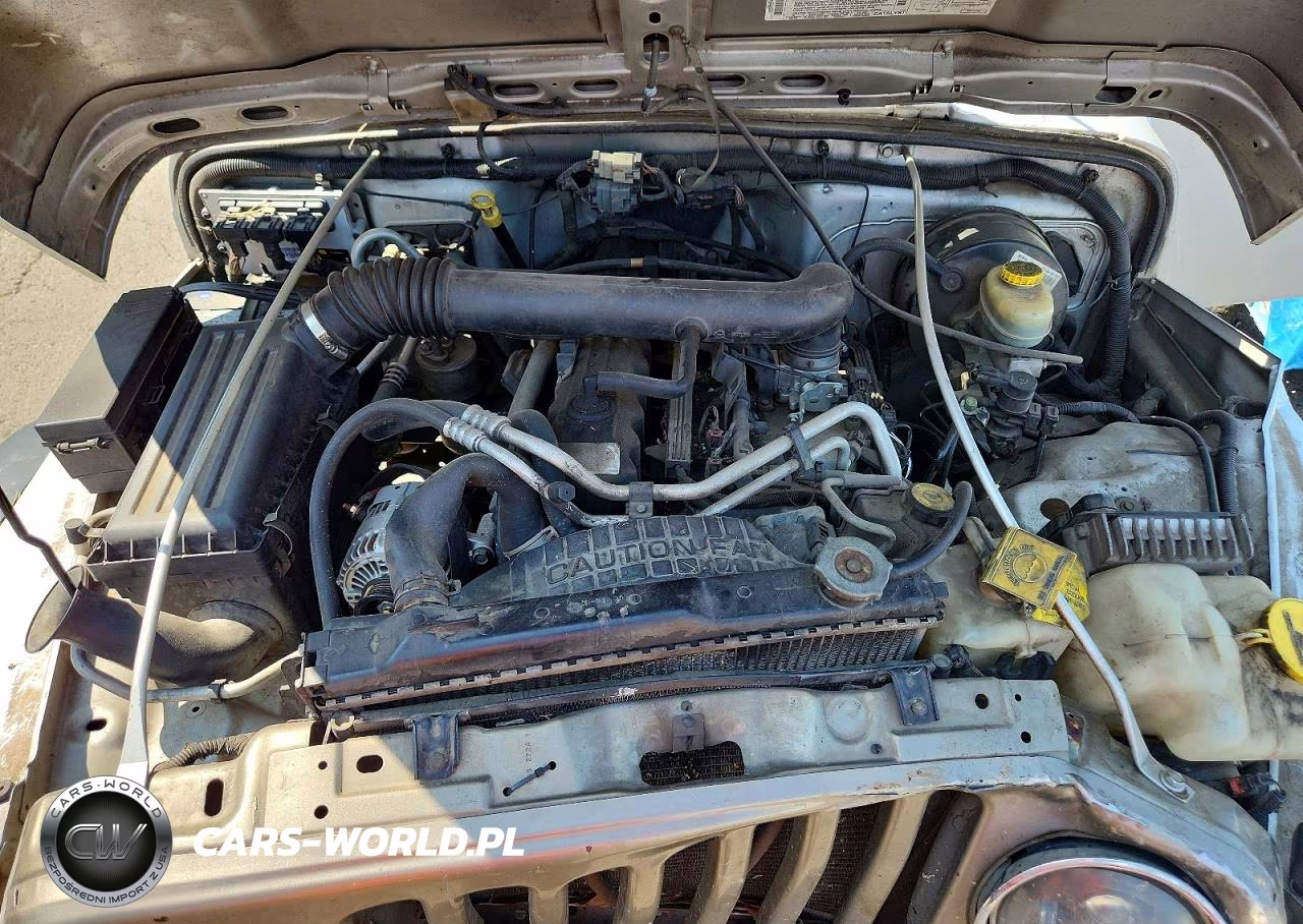 2003 Jeep Wrangler Commando VIN:1J4FA39S63P343964 - 11