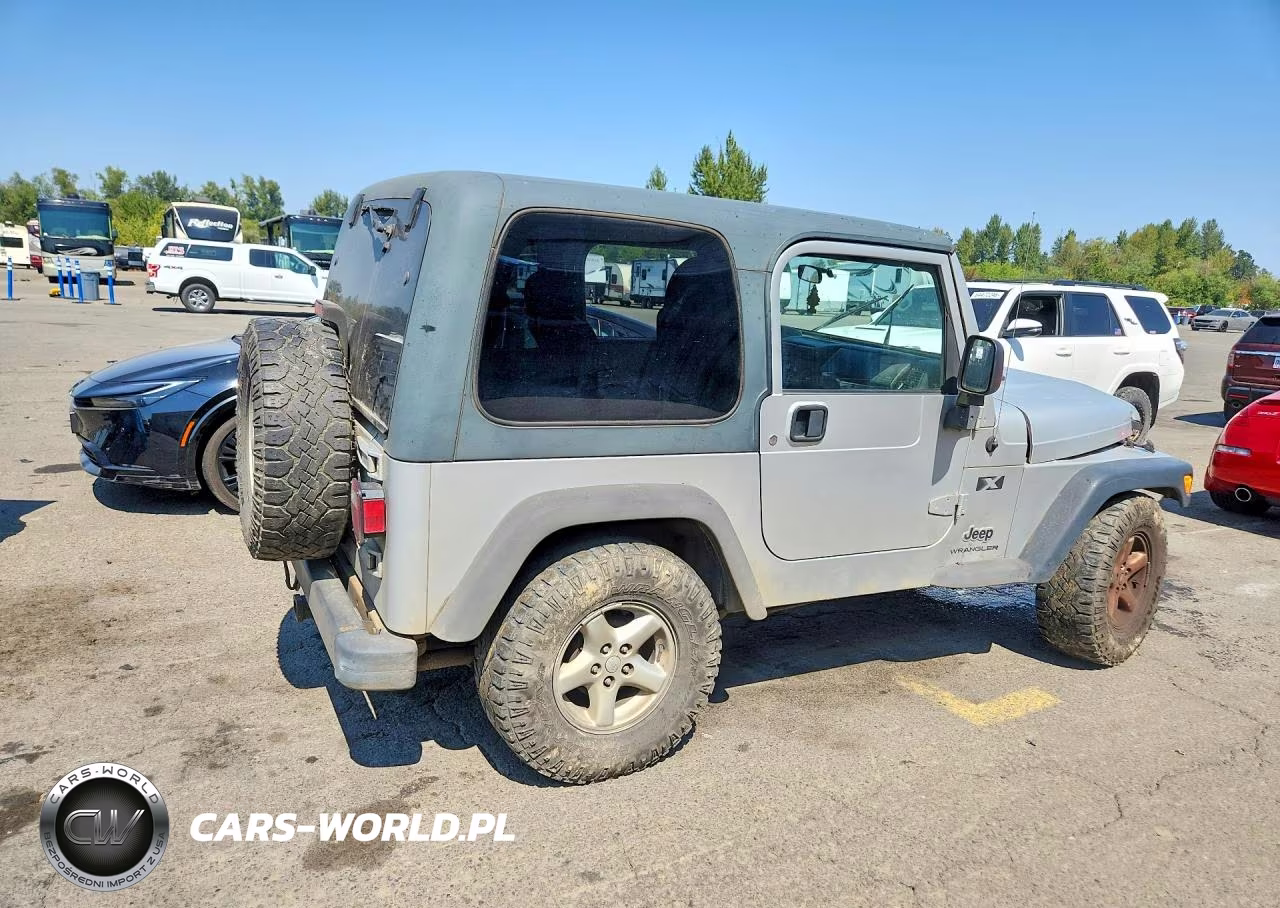 2003 Jeep Wrangler Commando VIN:1J4FA39S63P343964 - 3