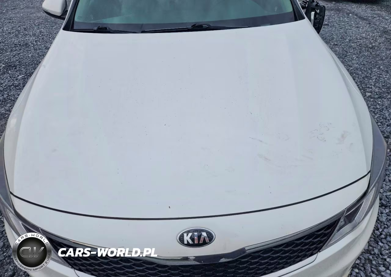 2016 Kia Optima Lx VIN:KNAGT4L3XG5074281 - 11
